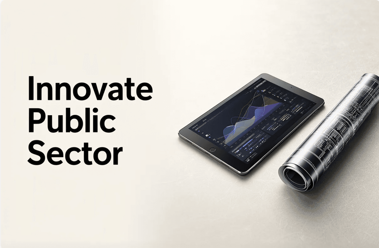 Product Innovation for Government