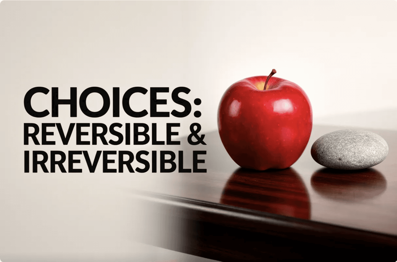 Reversible vs. Irreversible Product Choices